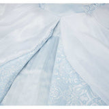 Cinderella Cosplay Costume Light Blue Dress Adult Female Halloween Carnival Costume
