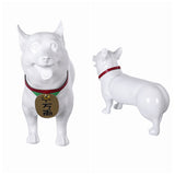 DANDADAN Turbo Granny Cosplay Costume Halloween carnival Costume