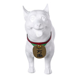 DANDADAN Turbo Granny Cosplay Costume Halloween carnival Costume