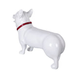 DANDADAN Turbo Granny Cosplay Costume Halloween carnival Costume