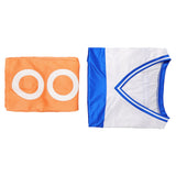 Nami Cosplay Costume Blue and White Striped Outfit Adult Female Halloween Carnival Costume