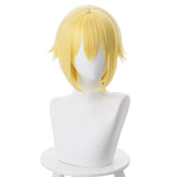 Hitoribocchi no Marumaru Seikatsu Nako Sunao Golden Wig 35cm