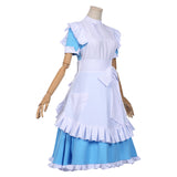 Sword Art Online SAO Alicization Alice·Synthesis·Thirty Cosplay Costume